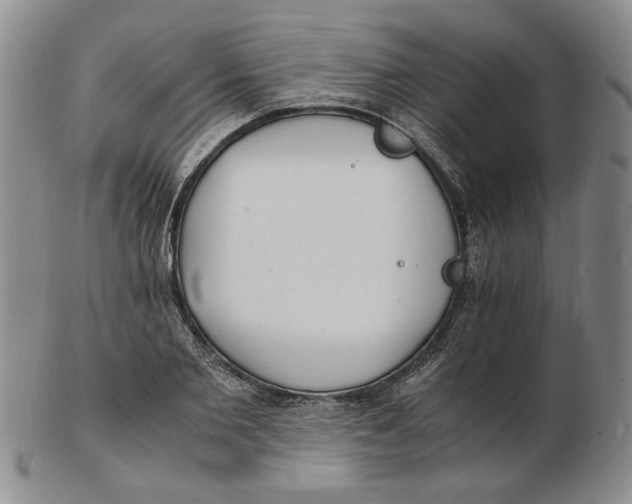 X0000102760885200809080939