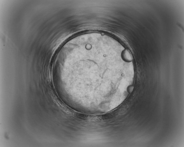 X0000102760887200809080939