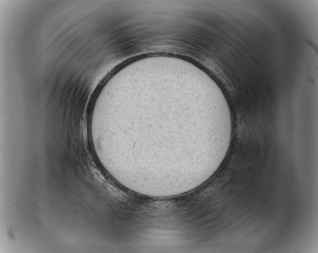 X0000102760888200809080939