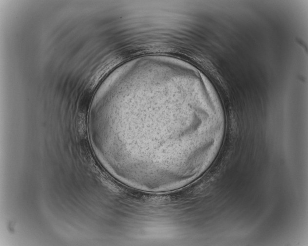 X0000102760889200809080939