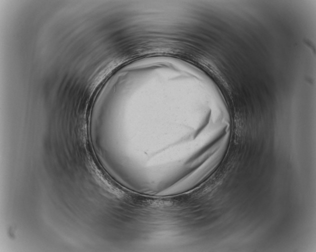 X0000102760890200809080939