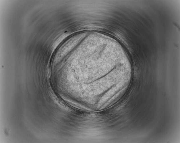 X0000102760891200809080939