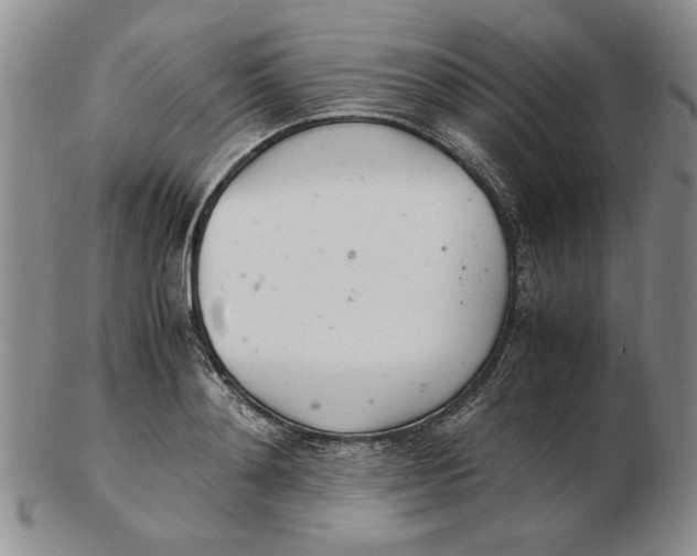 X0000102760892200809080939