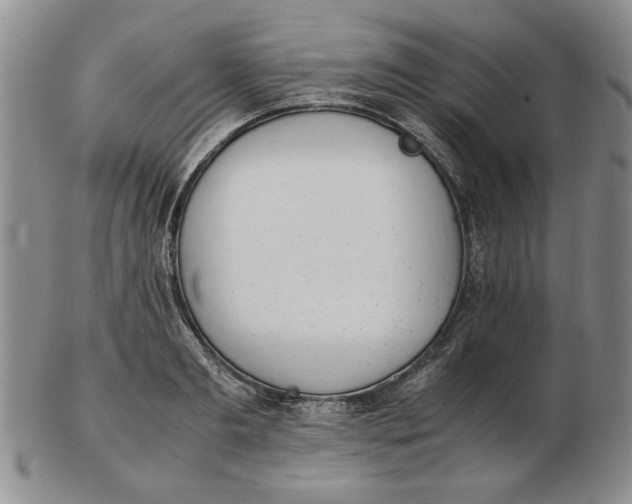 X0000102760893200809080938