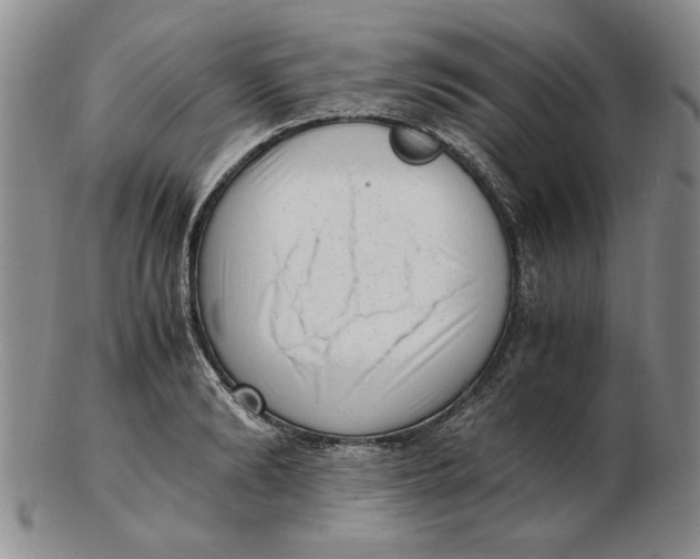 X0000102760894200809080938