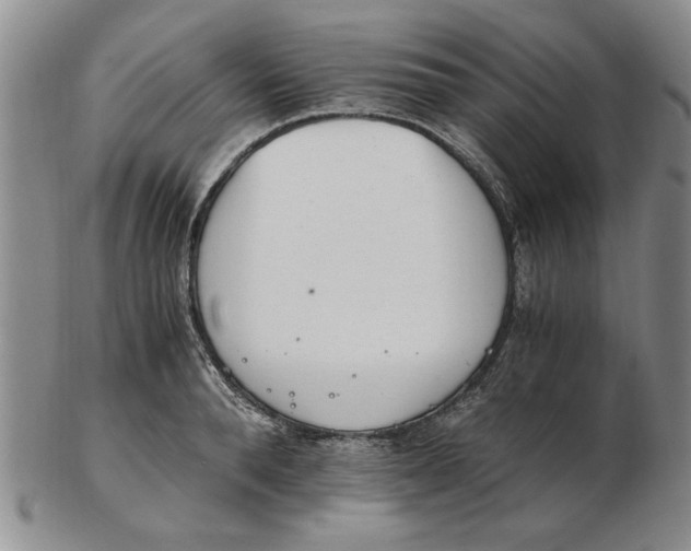 X0000102760896200809080938