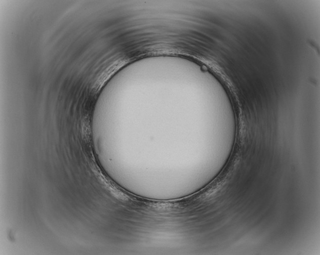 X0000102760897200809080938