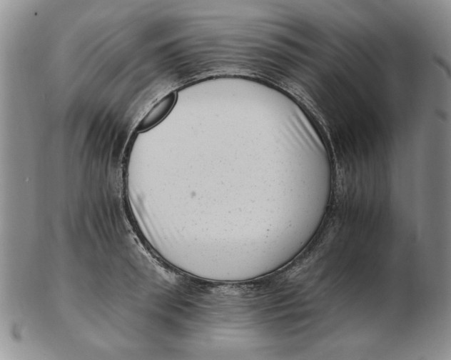 X0000102760898200809080938