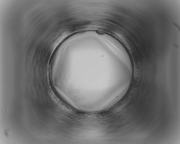 X0000102760899200809080938