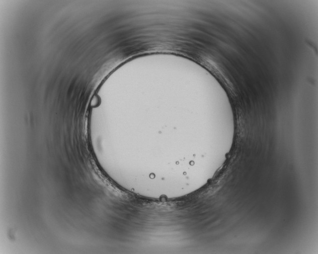 X0000102760900200809080938