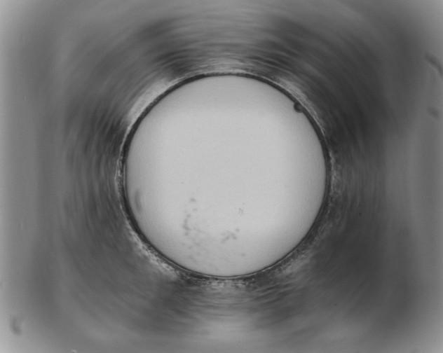 X0000102760901200809080938