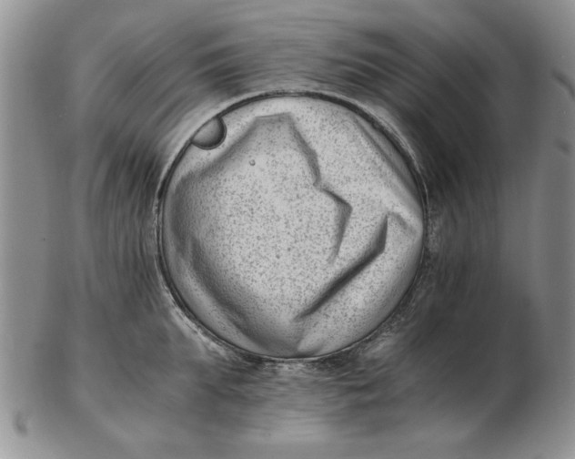 X0000102760903200809080938