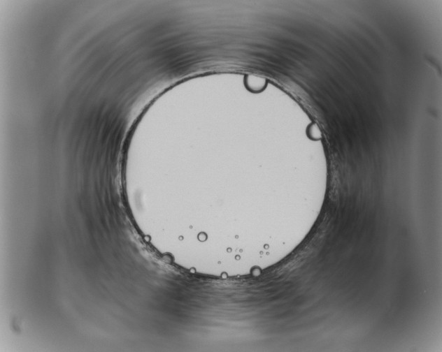 X0000102760904200809080938