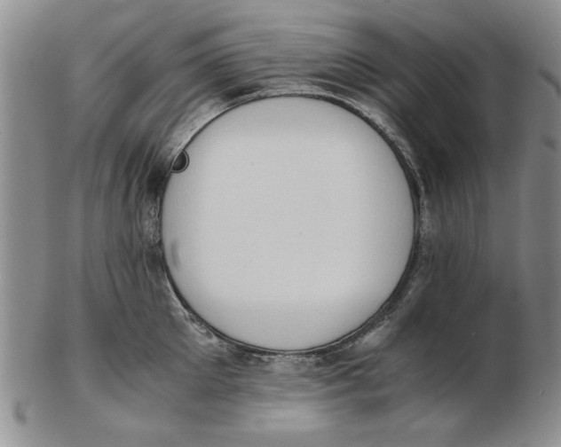 X0000102760905200809080938