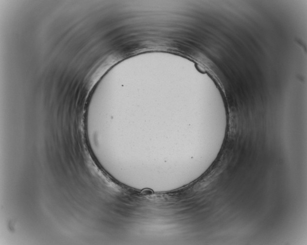 X0000102760906200809080938