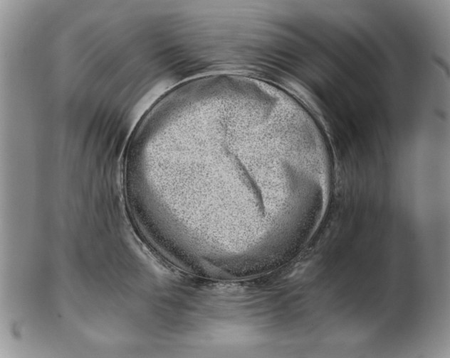 X0000102760907200809080938