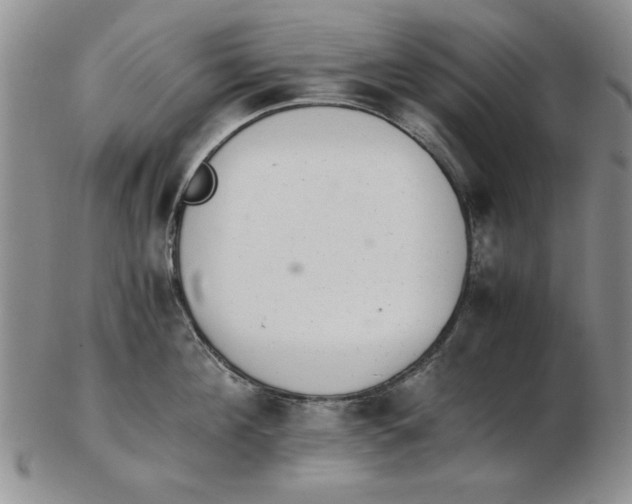 X0000102760908200809080938