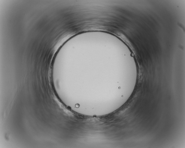 X0000102760909200809080938