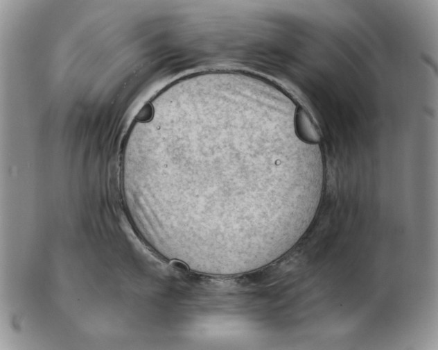 X0000102760911200809080938