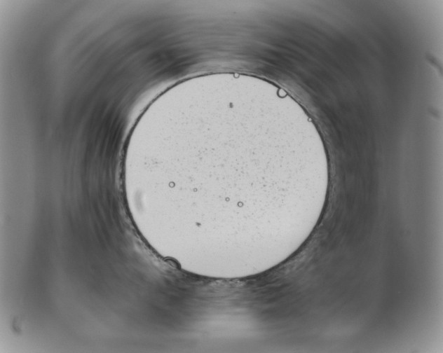 X0000102760912200809080938