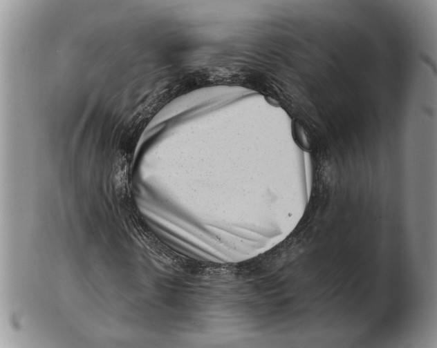 X0000102760914200809080937