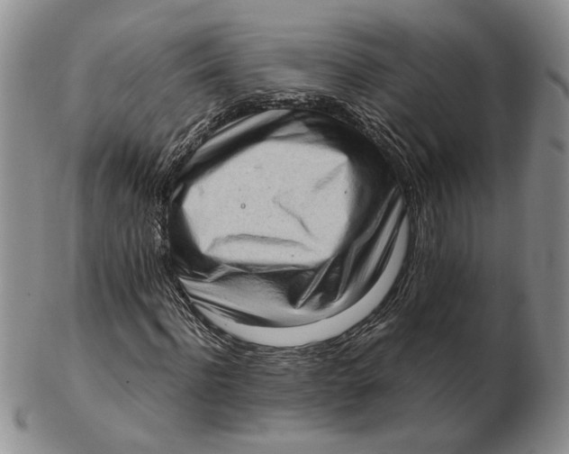 X0000102760916200809080937