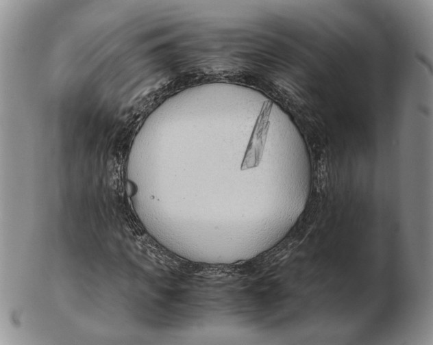 X0000102760917200809080937