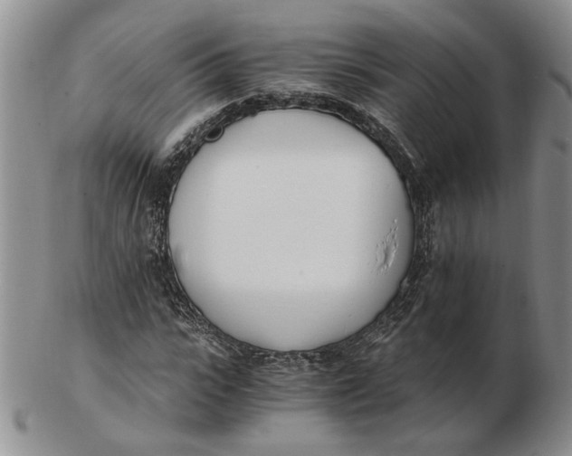 X0000102760919200809080937