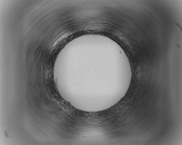 X0000102760920200809080938