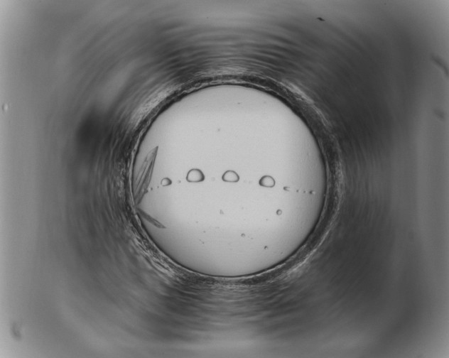 X0000102760921200809080938