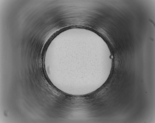 X0000102760924200809080938