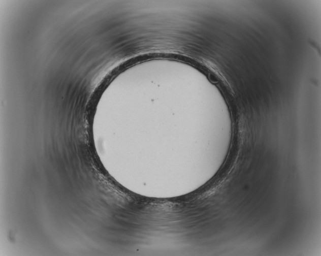 X0000102760926200809080938