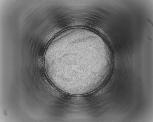 X0000102760929200809080938