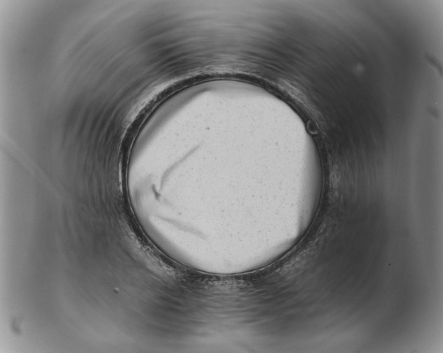 X0000102760934200809080938