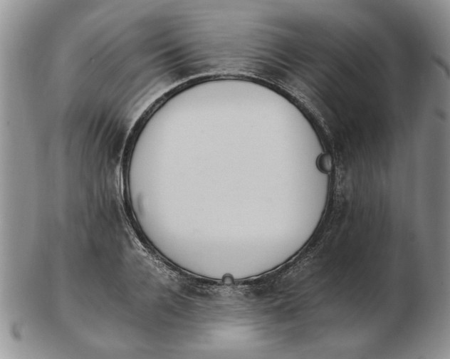 X0000102760936200809080938