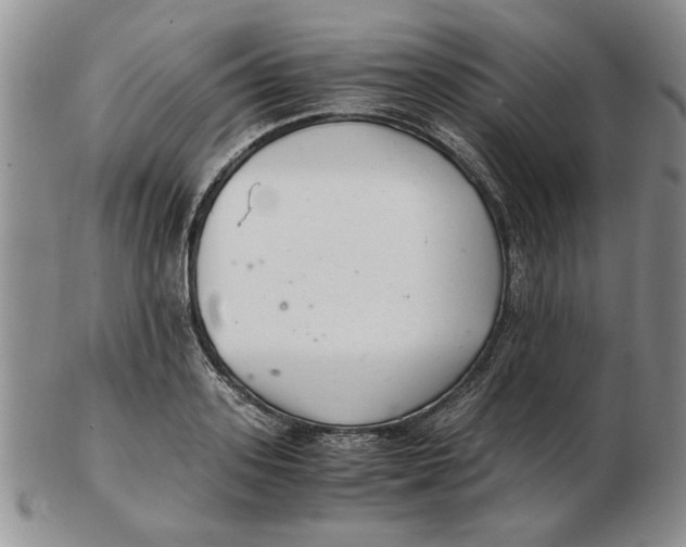 X0000102760939200809080938