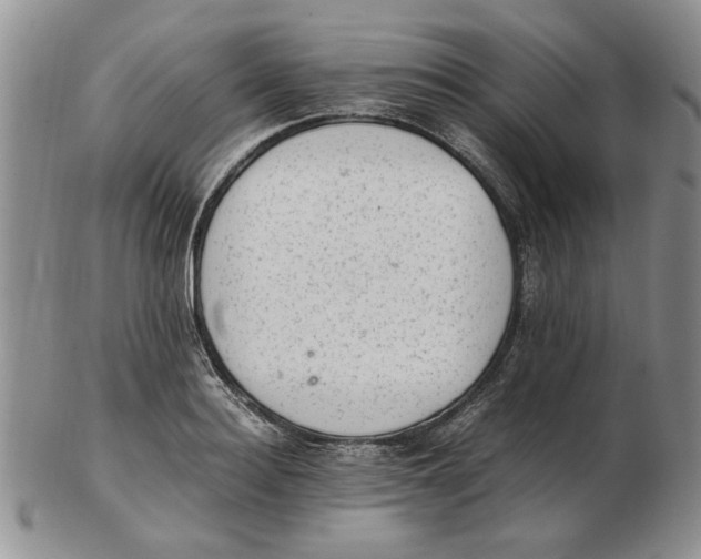 X0000102760940200809080938