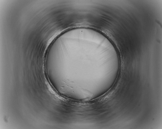 X0000102760941200809080938