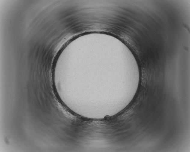 X0000102760942200809080938