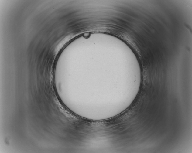 X0000102760944200809080938