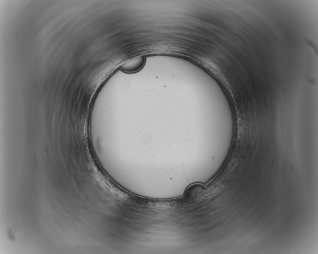 X0000102760946200809080938