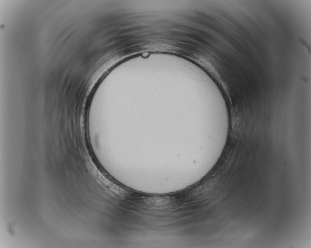 X0000102760947200809080938