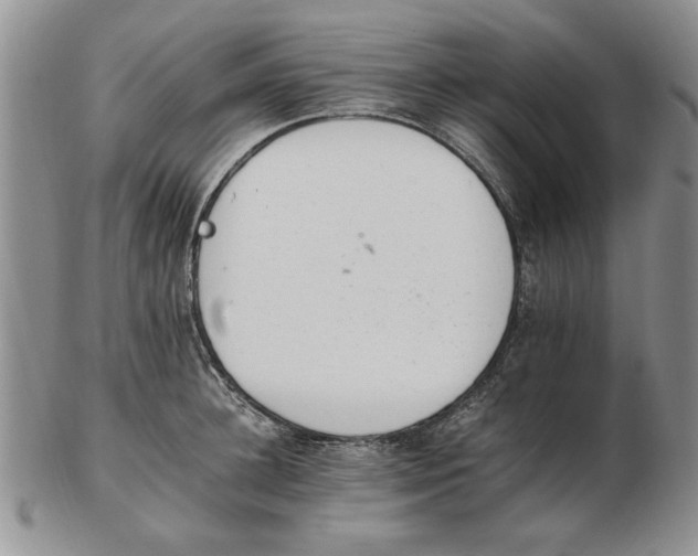 X0000102760948200809080938