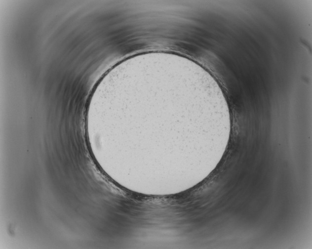 X0000102760950200809080938