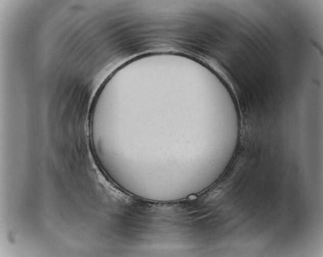 X0000102760951200809080938