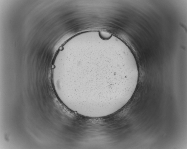 X0000102760952200809080938