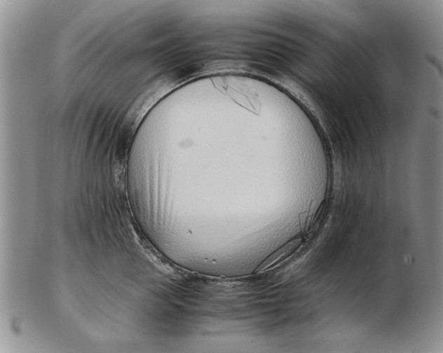 X0000102760953200809080938