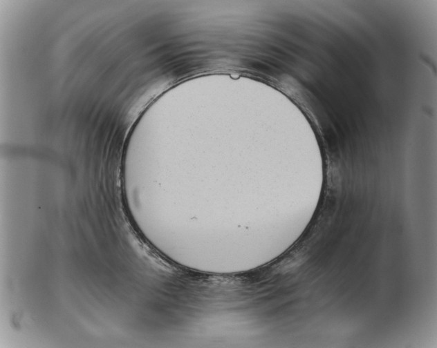 X0000102760954200809080938