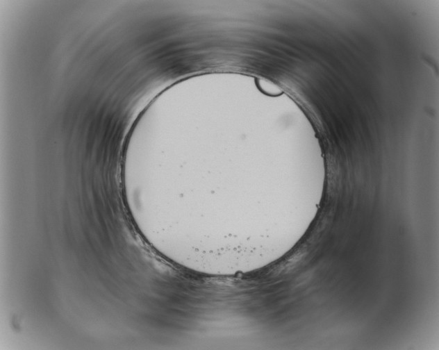 X0000102760956200809080938