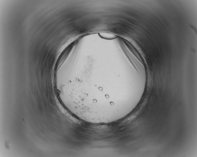 X0000102760957200809080938